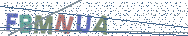 Gib die Buchstaben aus dem Bild ein