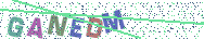 Gib die Buchstaben aus dem Bild ein