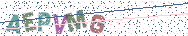 Gib die Buchstaben aus dem Bild ein