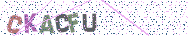 Gib die Buchstaben aus dem Bild ein