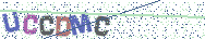 Gib die Buchstaben aus dem Bild ein