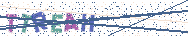 Gib die Buchstaben aus dem Bild ein