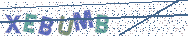 Gib die Buchstaben aus dem Bild ein