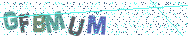 Gib die Buchstaben aus dem Bild ein