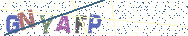 Gib die Buchstaben aus dem Bild ein