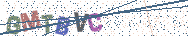 Gib die Buchstaben aus dem Bild ein
