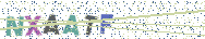 Gib die Buchstaben aus dem Bild ein