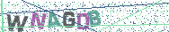 Gib die Buchstaben aus dem Bild ein