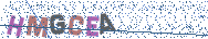 Gib die Buchstaben aus dem Bild ein