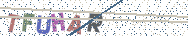 Gib die Buchstaben aus dem Bild ein