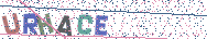 Gib die Buchstaben aus dem Bild ein