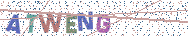 Gib die Buchstaben aus dem Bild ein