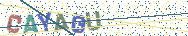 Gib die Buchstaben aus dem Bild ein