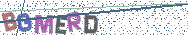 Gib die Buchstaben aus dem Bild ein