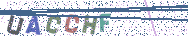 Gib die Buchstaben aus dem Bild ein