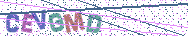 Gib die Buchstaben aus dem Bild ein