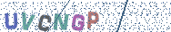 Gib die Buchstaben aus dem Bild ein