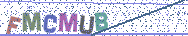 Gib die Buchstaben aus dem Bild ein
