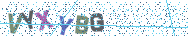 Gib die Buchstaben aus dem Bild ein