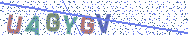 Gib die Buchstaben aus dem Bild ein