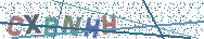 Gib die Buchstaben aus dem Bild ein