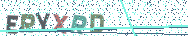 Gib die Buchstaben aus dem Bild ein