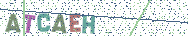 Gib die Buchstaben aus dem Bild ein