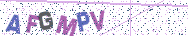 Gib die Buchstaben aus dem Bild ein