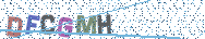 Gib die Buchstaben aus dem Bild ein