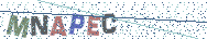 Gib die Buchstaben aus dem Bild ein