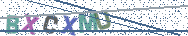 Gib die Buchstaben aus dem Bild ein