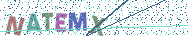Gib die Buchstaben aus dem Bild ein