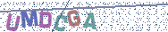 Gib die Buchstaben aus dem Bild ein