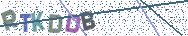 Gib die Buchstaben aus dem Bild ein
