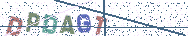 Gib die Buchstaben aus dem Bild ein