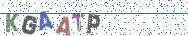 Gib die Buchstaben aus dem Bild ein