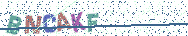 Gib die Buchstaben aus dem Bild ein
