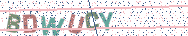 Gib die Buchstaben aus dem Bild ein