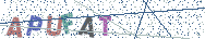 Gib die Buchstaben aus dem Bild ein