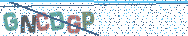 Gib die Buchstaben aus dem Bild ein