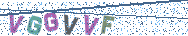 Gib die Buchstaben aus dem Bild ein