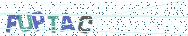 Gib die Buchstaben aus dem Bild ein