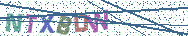 Gib die Buchstaben aus dem Bild ein