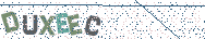 Gib die Buchstaben aus dem Bild ein