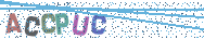 Gib die Buchstaben aus dem Bild ein