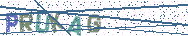 Gib die Buchstaben aus dem Bild ein