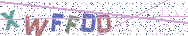 Gib die Buchstaben aus dem Bild ein