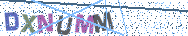 Gib die Buchstaben aus dem Bild ein