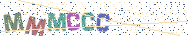 Gib die Buchstaben aus dem Bild ein