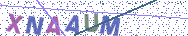 Gib die Buchstaben aus dem Bild ein